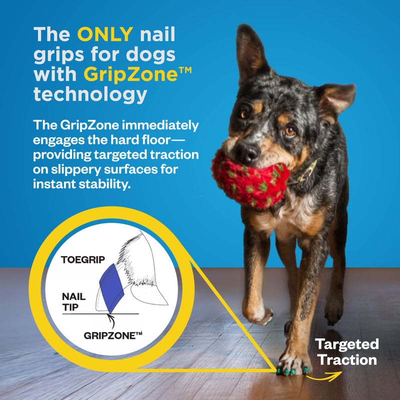 Dr. Buzby's Dr Buzby's XXLarge ToeGrips for Dogs - Instant Traction on Wood/Hardwood Floors - Anti Slip Relief - Grippers for Senior Dogs - Stop Sliding Instantly - Rubber Nails for Paws - 1 Pack (20 Grips) - Image 4